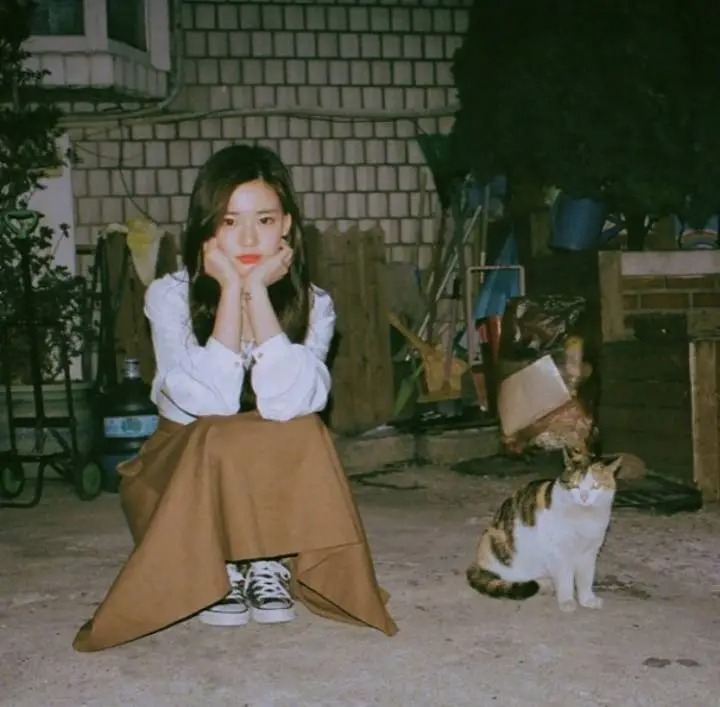 女生搂着猫咪撸猫头像，优质女生头像真人高清抱猫_9