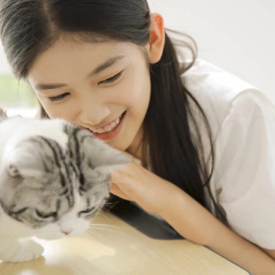 女生搂着猫咪撸猫头像，优质女生头像真人高清抱猫_10