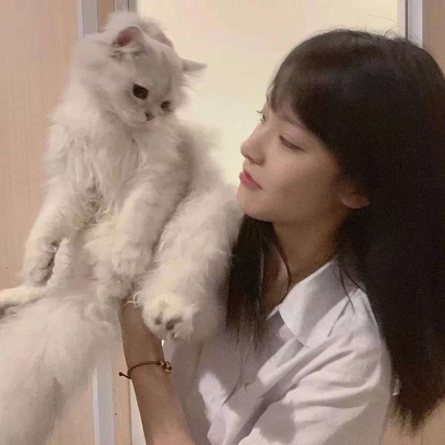 女生搂着猫咪撸猫头像，优质女生头像真人高清抱猫_12