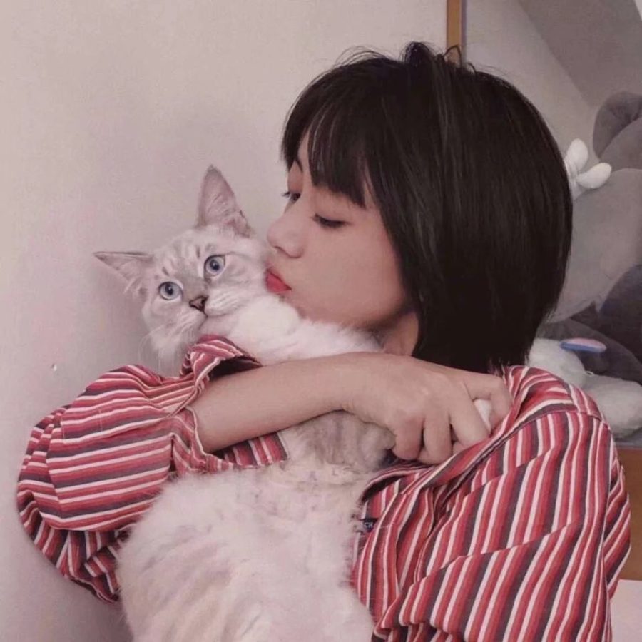 女生搂着猫咪撸猫头像，优质女生头像真人高清抱猫_13