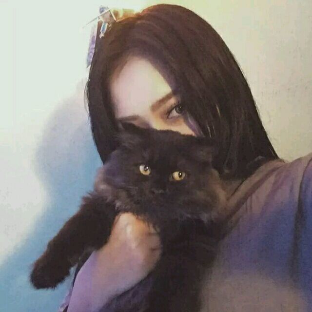女生搂着猫咪撸猫头像，优质女生头像真人高清抱猫_14
