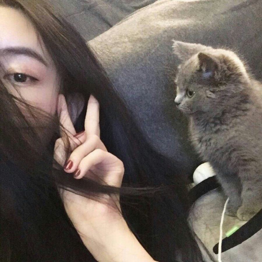 女生搂着猫咪撸猫头像，优质女生头像真人高清抱猫_15