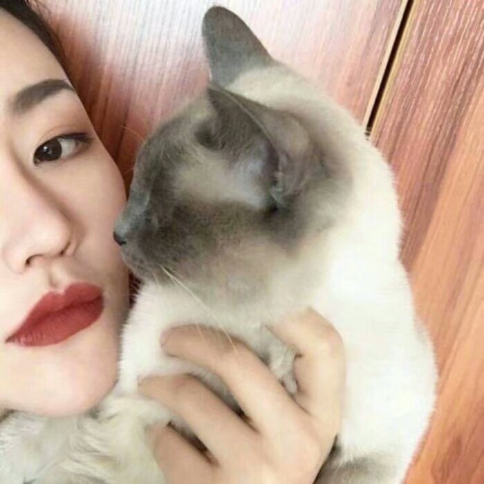 女生搂着猫咪撸猫头像，优质女生头像真人高清抱猫_17