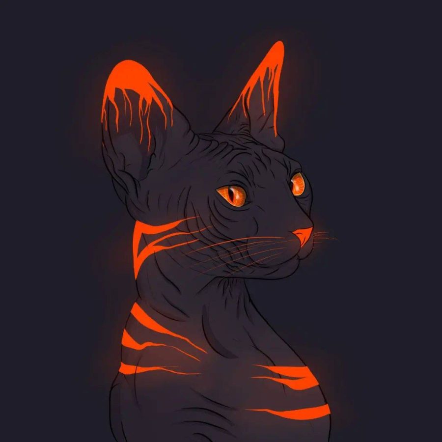 二次元卡通猫咪优质高清头像_1