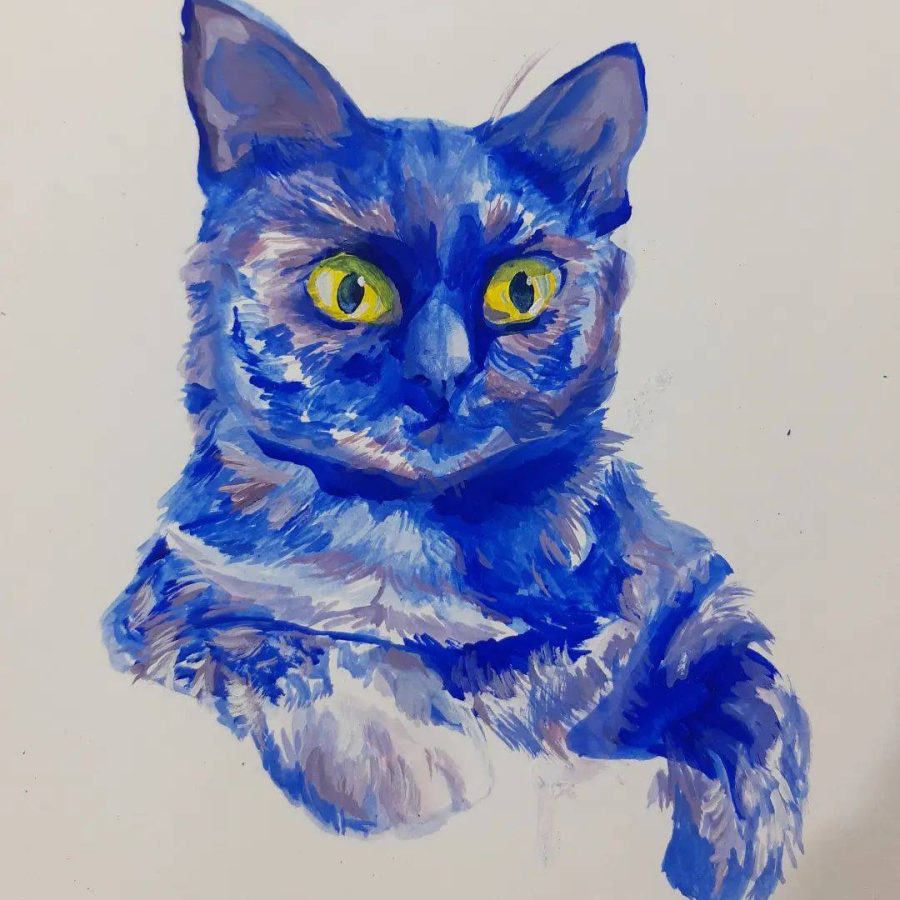 二次元卡通猫咪优质高清头像_12