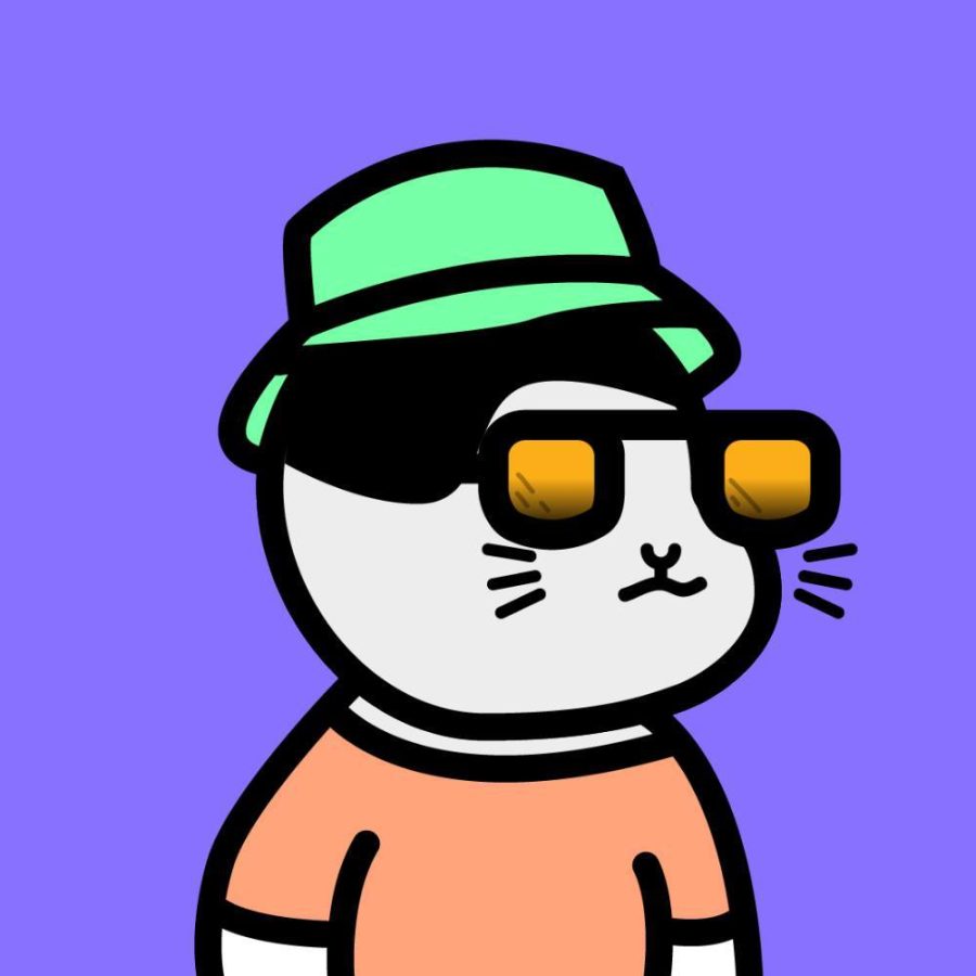 二次元卡通猫咪优质高清头像_6