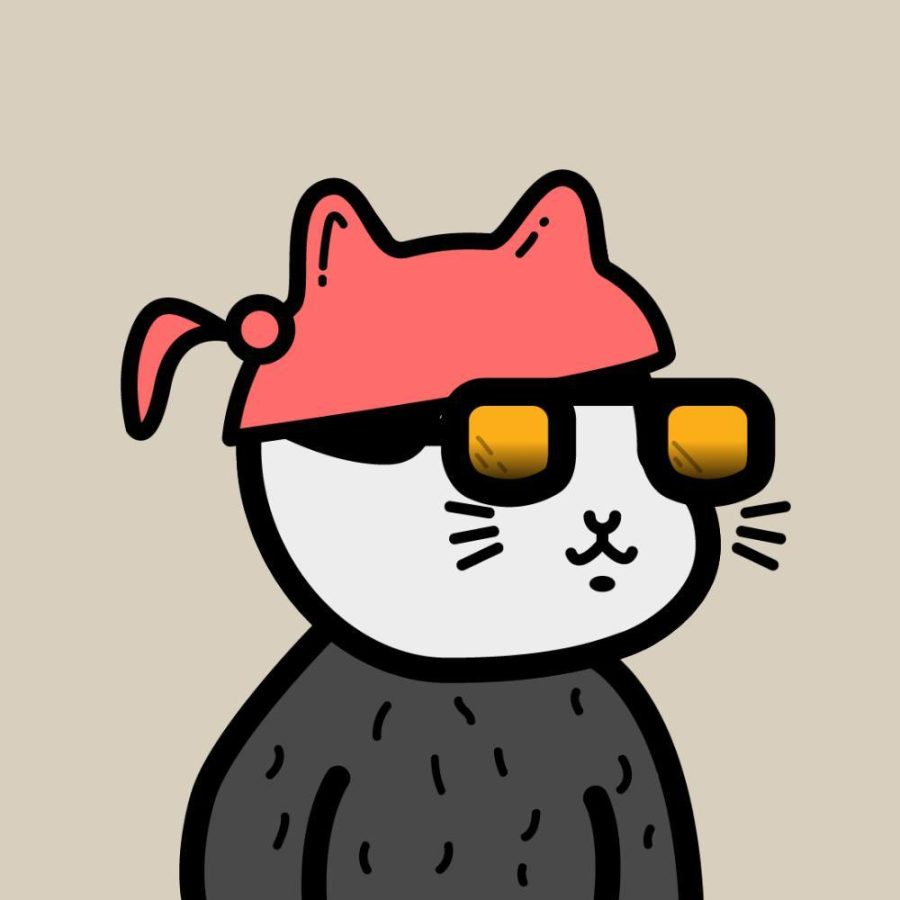 二次元卡通猫咪优质高清头像_5
