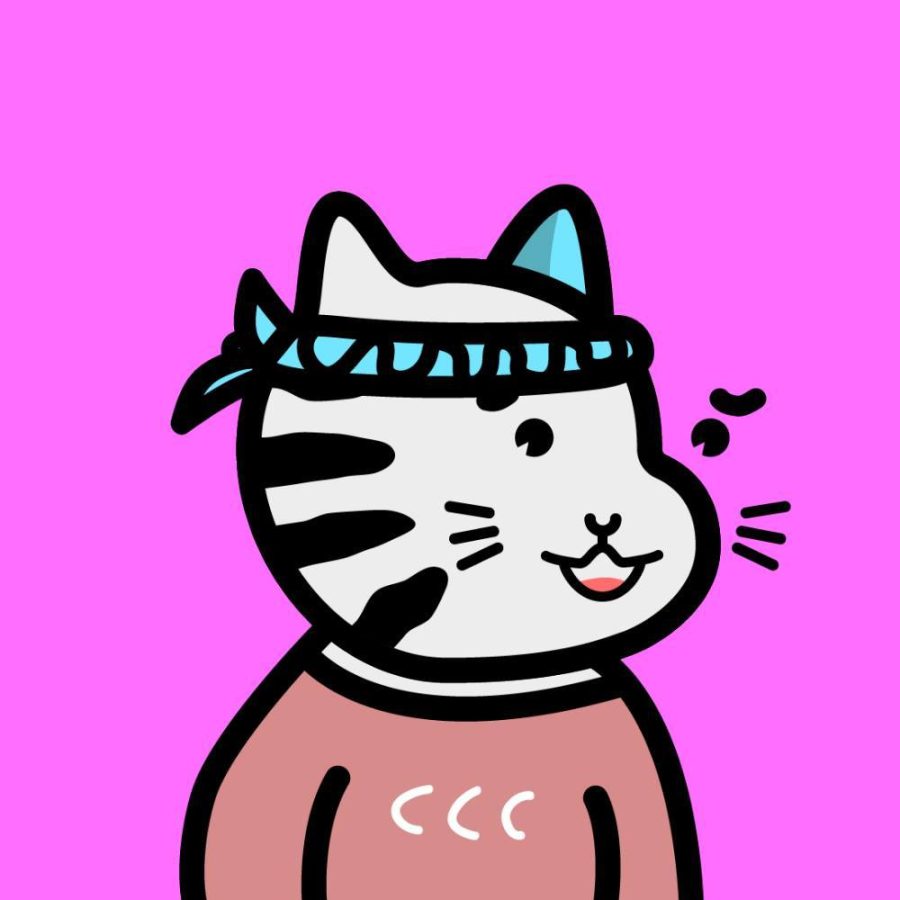 二次元卡通猫咪优质高清头像_2