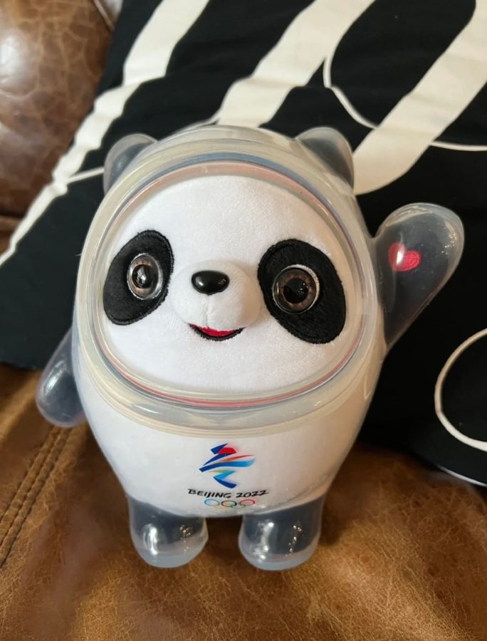 脱下外壳的冰墩墩，冰墩墩原来是一只熊猫！_2