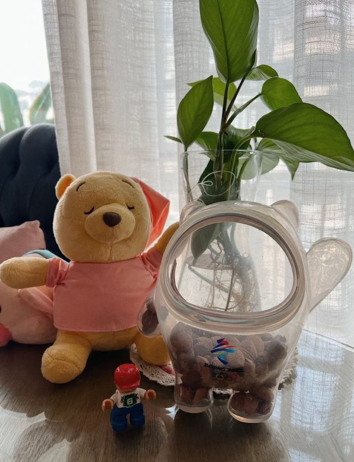 脱下外壳的冰墩墩，冰墩墩原来是一只熊猫！_6
