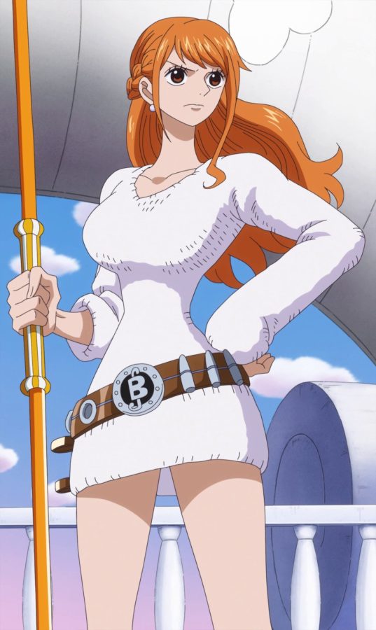 海贼王中哪些细腰的二次元美女_4