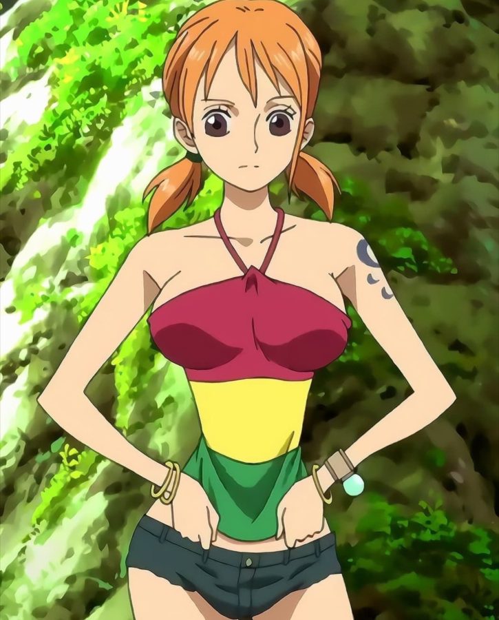 海贼王中哪些细腰的二次元美女_6