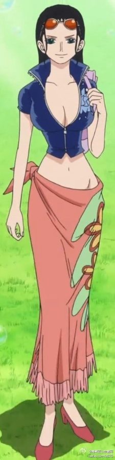 海贼王中哪些细腰的二次元美女_7