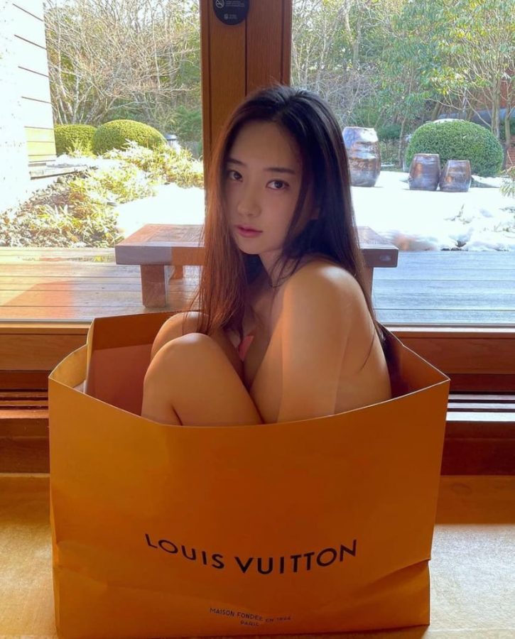 美女把自己装在lv手提袋里送给男朋友！_2