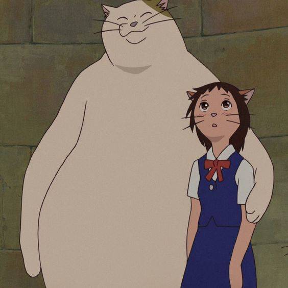 《猫的报恩》小春吉冈春 ，高中生动漫女头_5