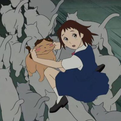 《猫的报恩》小春吉冈春 ，高中生动漫女头