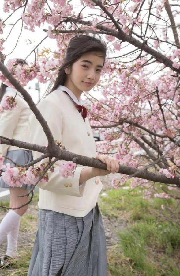 小松菜奈校服樱花树清纯写真_1