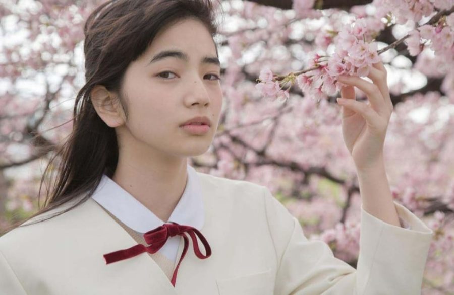 小松菜奈校服樱花树清纯写真_2