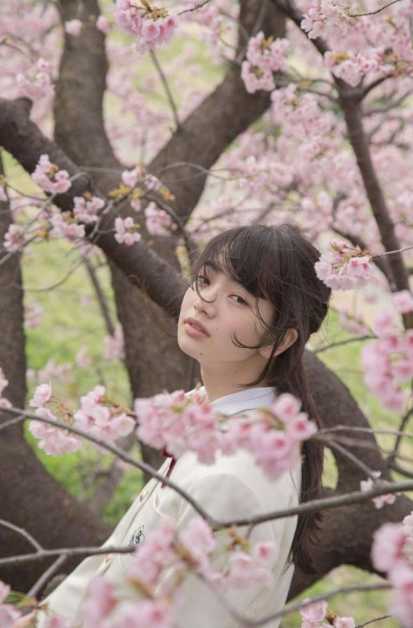 小松菜奈校服樱花树清纯写真_5