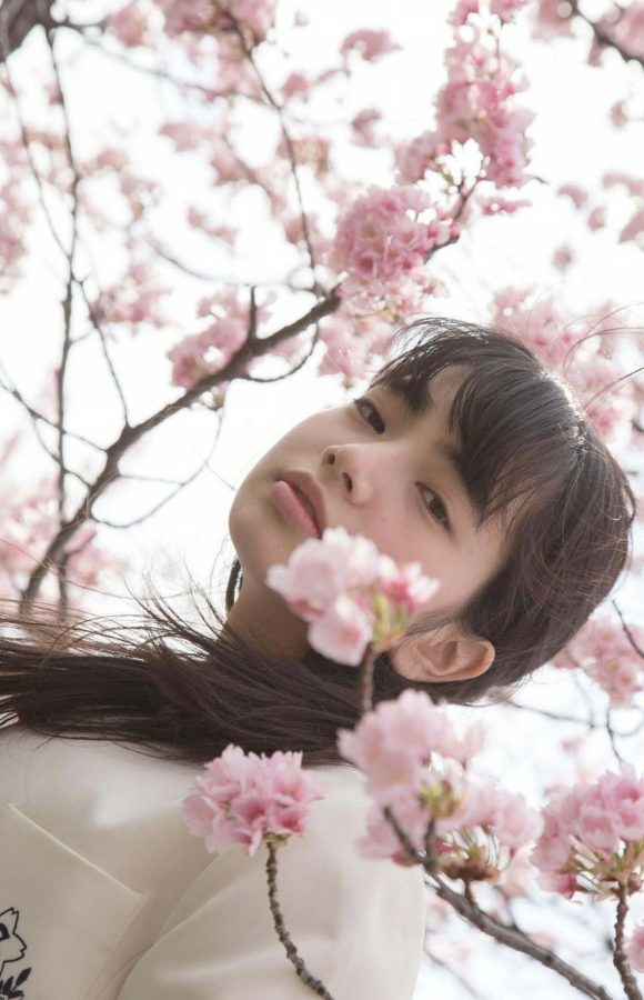 小松菜奈校服樱花树清纯写真_6