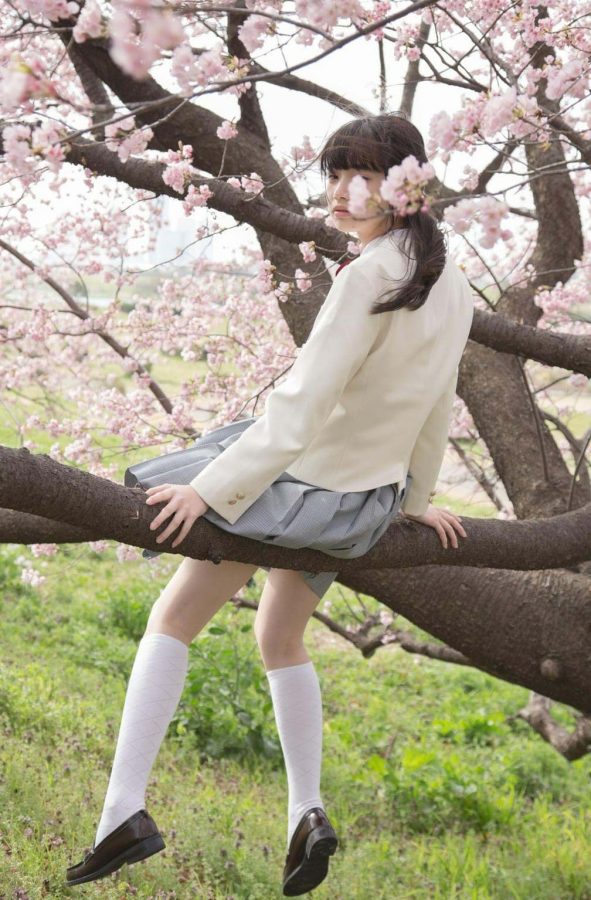 小松菜奈校服樱花树清纯写真_8
