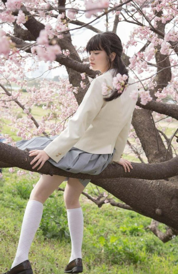 小松菜奈校服樱花树清纯写真_9