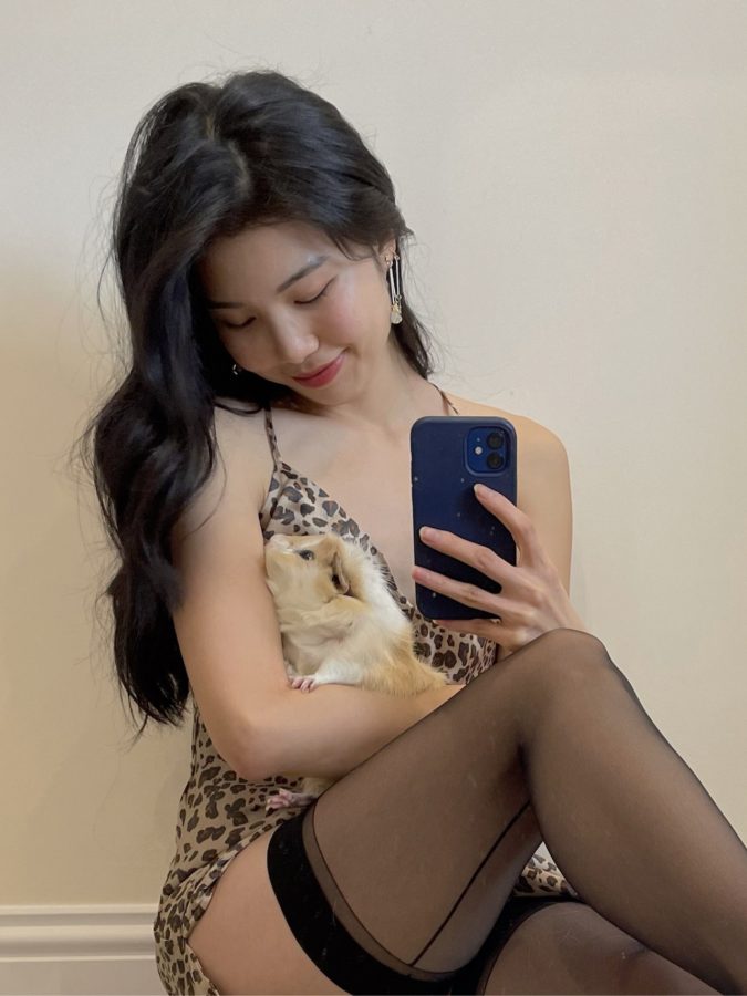 黑丝豹纹美女搂着宠物鼠自拍 什么品种有认识的吗？_4
