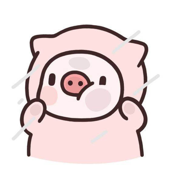 简单猪线条头像，关于萌猪的线条头像_20
