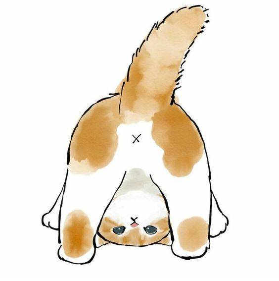 卡通黄色可爱小猫简笔画图片大全_11