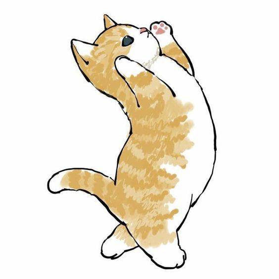 卡通黄色可爱小猫简笔画图片大全_9
