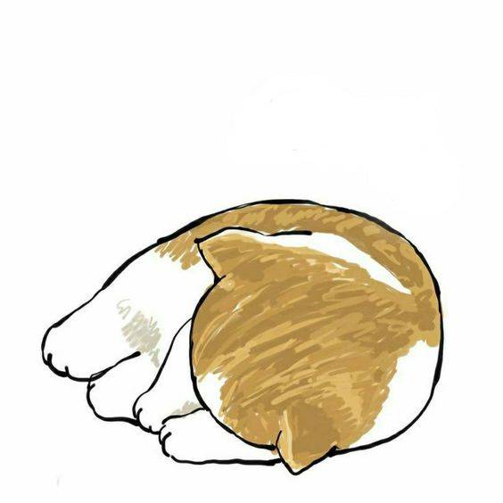 卡通黄色可爱小猫简笔画图片大全_7