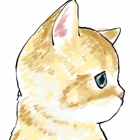 卡通黄色可爱小猫简笔画图片大全_5