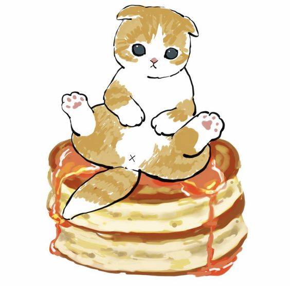 卡通黄色可爱小猫简笔画图片大全_4