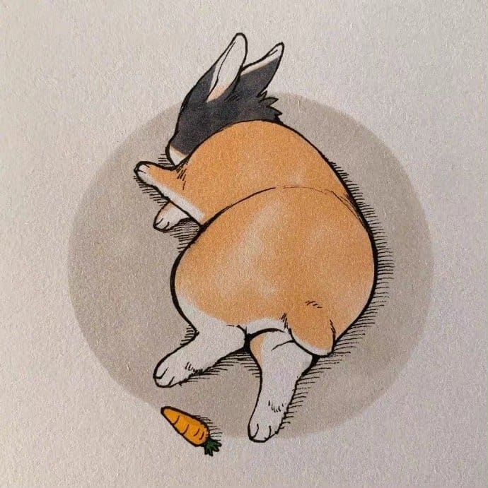 画师井口病院七龙珠扮装版小兔子 Twi: ichthy0stega ​​​_8