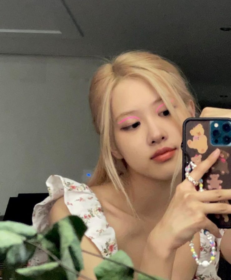 朴彩英镜子照大全，ROSÉ 朴彩英对镜自拍合集_4