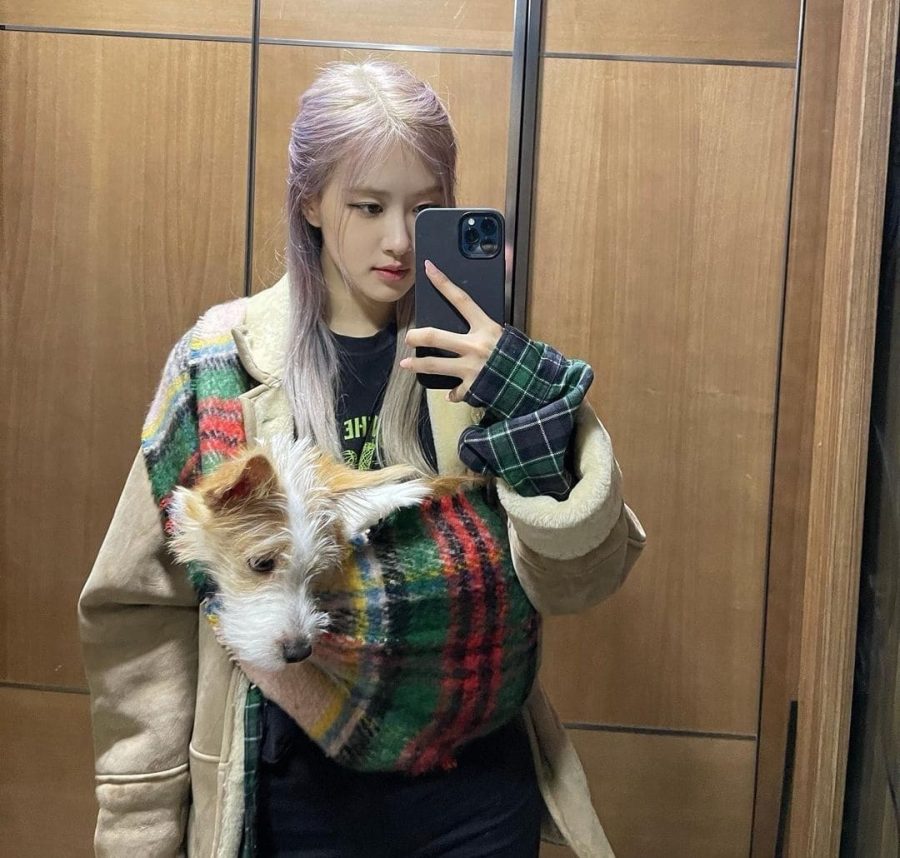 朴彩英镜子照大全，ROSÉ 朴彩英对镜自拍合集_18
