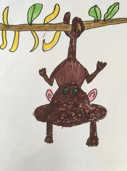 卡通长尾巴猴子monkey彩色简笔画图片大全_3