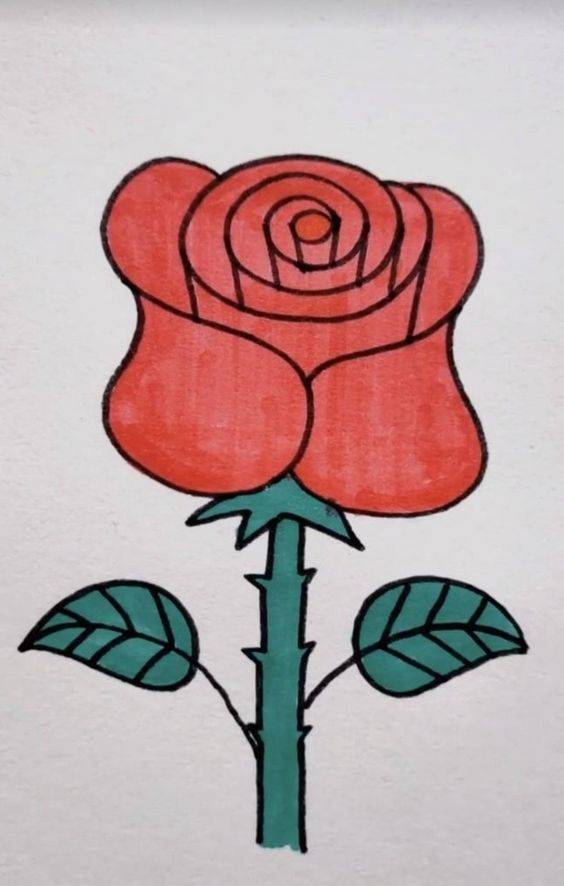 一支红色玫瑰花简笔画图片大全_10