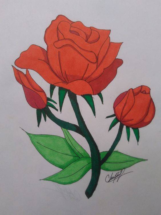 一支红色玫瑰花简笔画图片大全_9