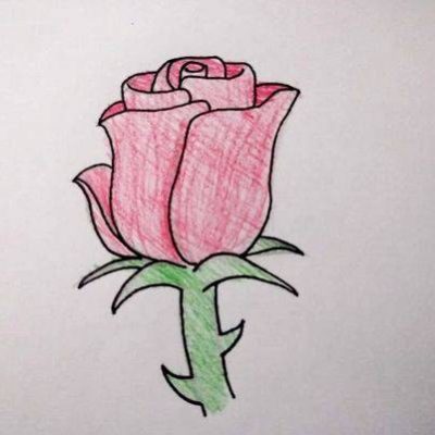 一支红色玫瑰花简笔画图片大全