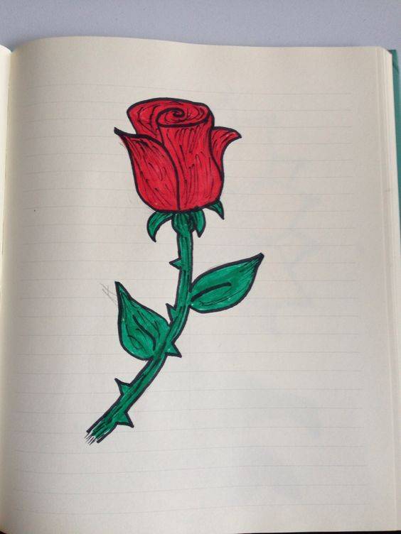 一支红色玫瑰花简笔画图片大全_5