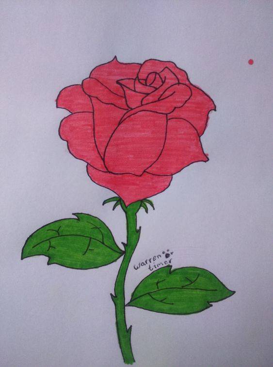 一支红色玫瑰花简笔画图片大全_3