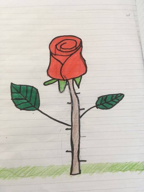 一支红色玫瑰花简笔画图片大全_1