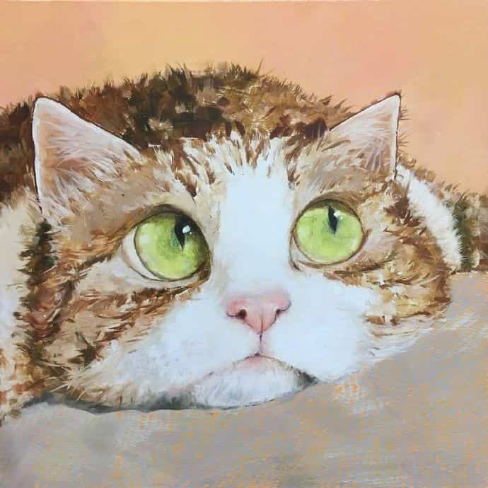 超可爱小动物猫咪插画版可爱微信头像图片 作者Moozoriki ​​​_4