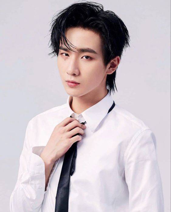 东北帅气男星李宏毅正脸照片高清图_2