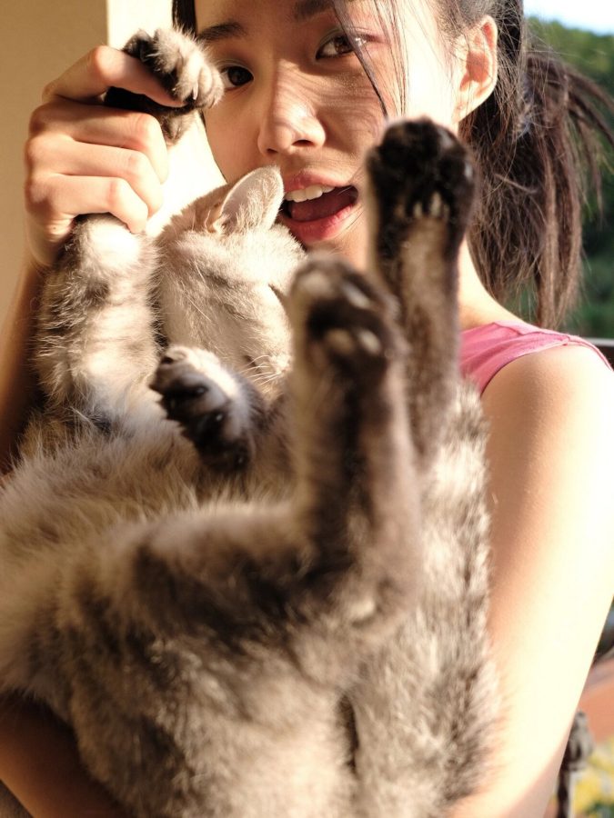 美女校花卢昱晓抱猫咪纯欲写真图_8