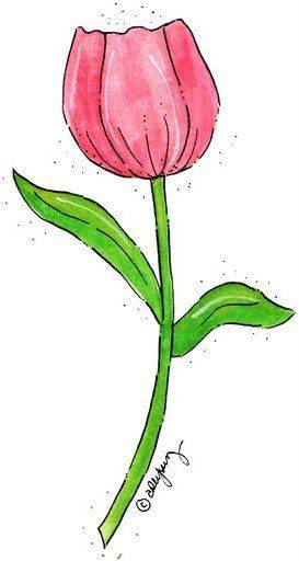 粉色鲜花郁金香花朵简笔画图片大全_5