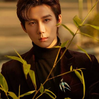 帅气年轻男明星王一哲酒红色西装写真照片