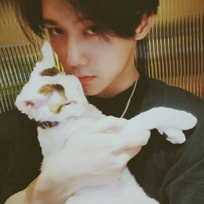 帅气男星王一哲素颜撸猫照片 男生养猫好有爱！