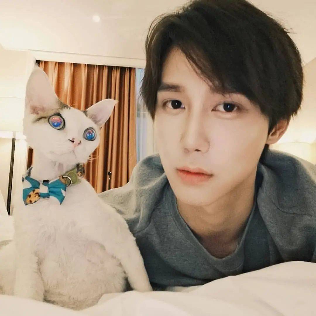 帅气男星王一哲素颜撸猫照片 男生养猫好有爱！_7